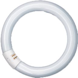 Ringlamp NL-T9 40W 840 - G10Q voet G10Q 