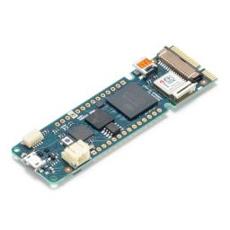 Arduino MKR Vidor 4000* * 