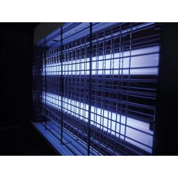 UV Lamp voor insectenverdelger 15W 