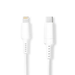 USB-kabel - Apple Lightning 8-pins naar USB C Mannelijk - 1 meter